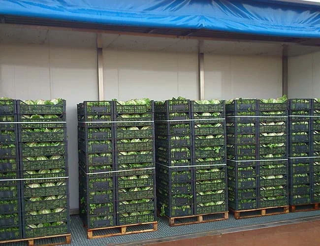 hydrocooler per industria ortofrutticola installato dalla Norbafrigo