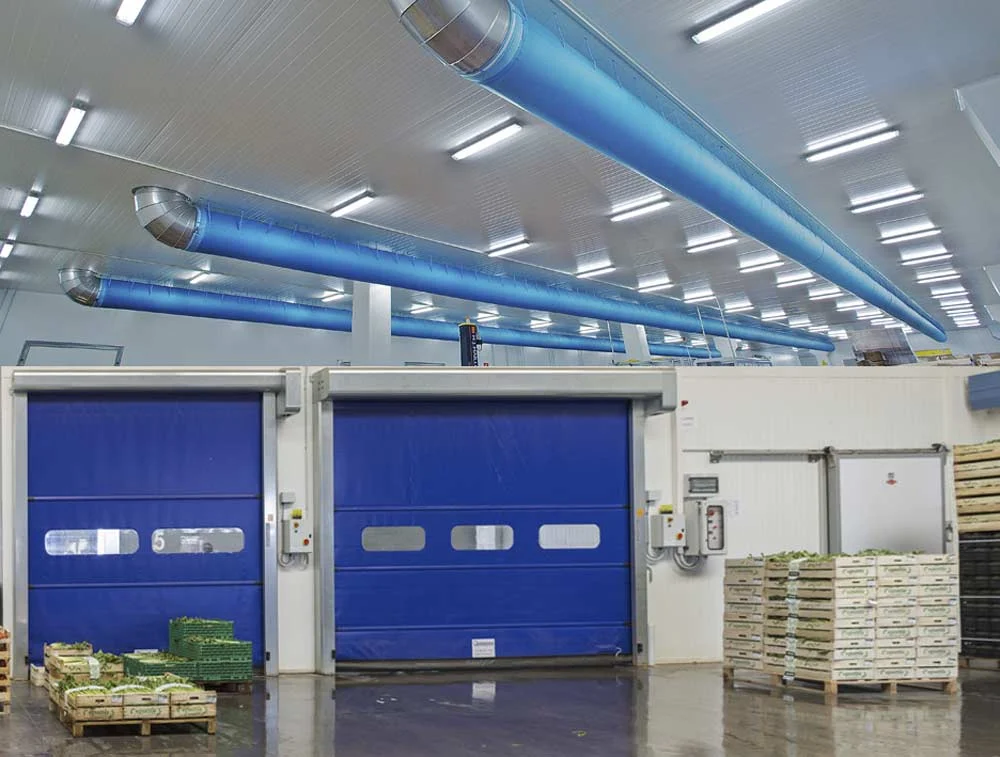 sala di lavorazione settore ortofrutta installata dalla norbafrigo
